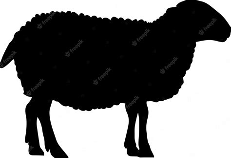 Premium Vector | Sheep vector silhouette illustration