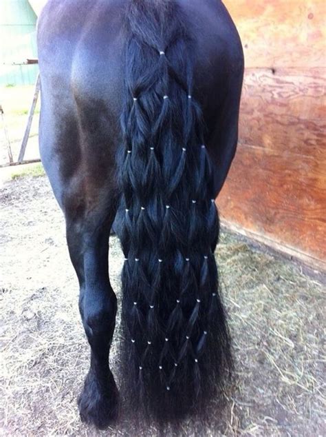 History Of Mane and Tail Braiding