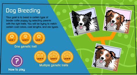 Try these breeding games! - The Institute of Canine Biology