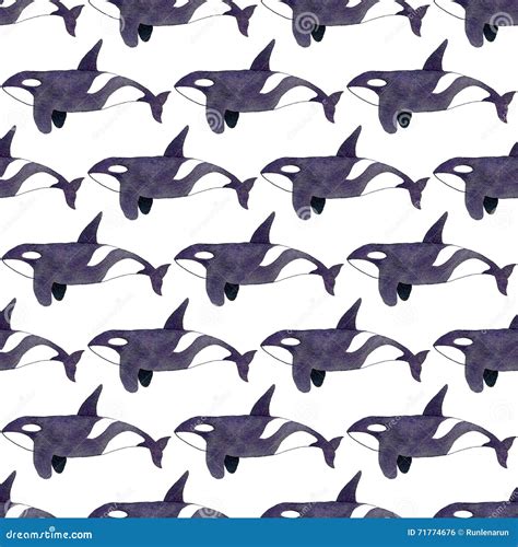 Orca or Killer Whale. Seamless Watercolor Pattern Stock Illustration - Illustration of animal ...