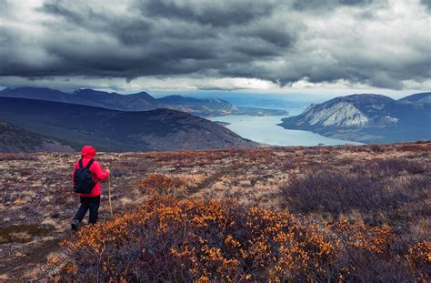 Alpine Tundra | World Biomes | The Wild Classroom