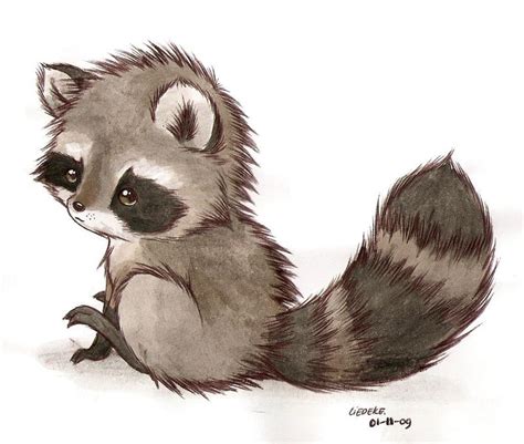 Raccoon Giant Panda Drawing Raccoon Animals Carnivoran Png Pngegg - Riset