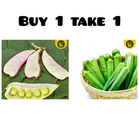 Buy 1 Take 1 High Quality Vegetable Seeds ( 3seeds Bataw, 20seeds Okra ) binhi ng gulay | Lazada PH