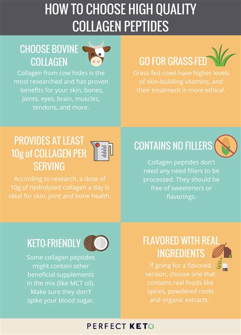 What Is Collagen? 11 Science-Backed Health Benefits Of This Vital Protein | What is collagen ...