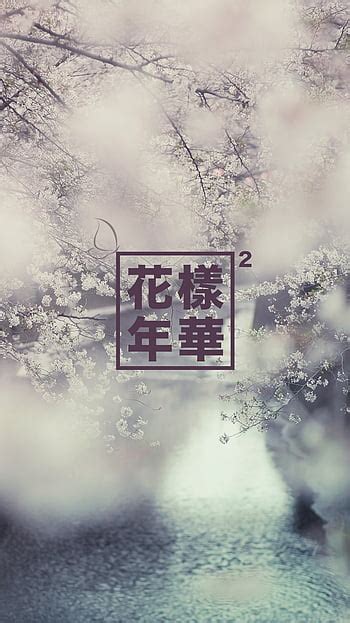 Hyyh HD wallpapers | Pxfuel