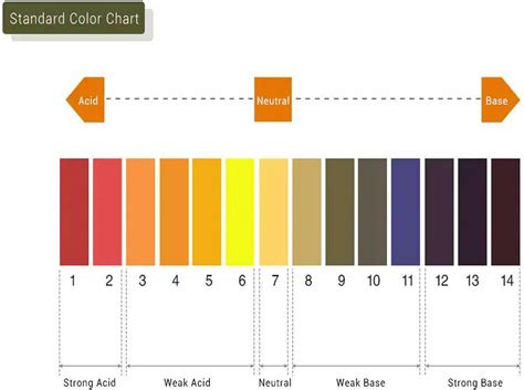 160xpH Test Strips 0-14 pH Measure Paper Drinking Water,Food,Pools ...