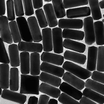 Conjugated Au Nanorods – NanoSeedz