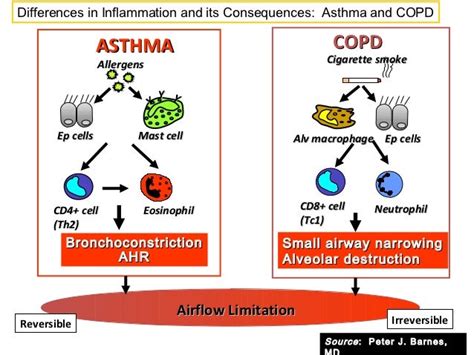 Asthma copd