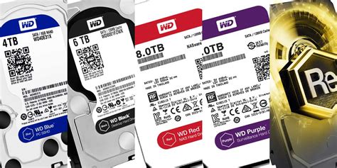 Understanding The Differences Between WD HDD Colors