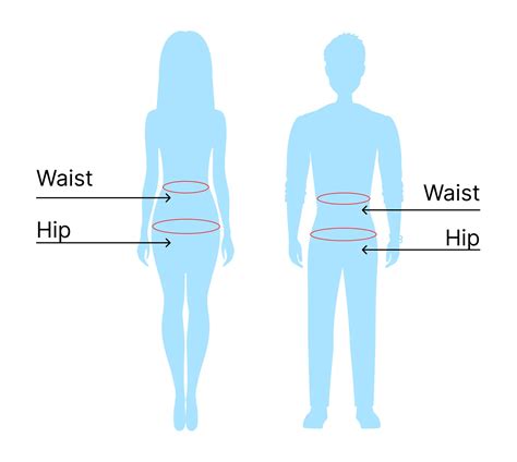 Waist to Hip Ratio Calculator (WHR) to Measure Your Waist and Hip Size