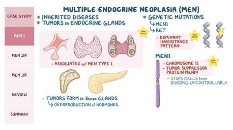 Multiple endocrine neoplasia: Pathology review: Video | Osmosis