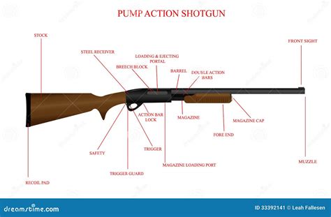 Pump Action Shotgun Diagram