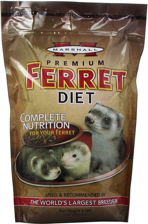 Ferret Food: 7 Best Ferret Food You Can Buy in 2020 From Amazon UK