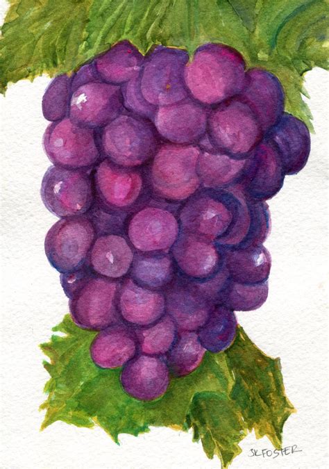 Purple Grapes Watercolor Painting original art, 5 x 7 by ...