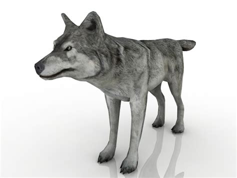 Wolf 3D model Download for Free