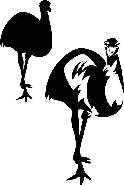 Royalty Free Emu Clip Art, Vector Images & Illustrations - iStock