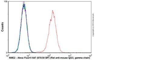 Highly validated Alexa Fluor conjugated secondary antibodies