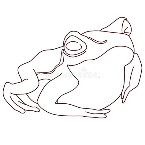 Realistic Frog Line Drawing Stock Illustrations – 51 Realistic Frog ...