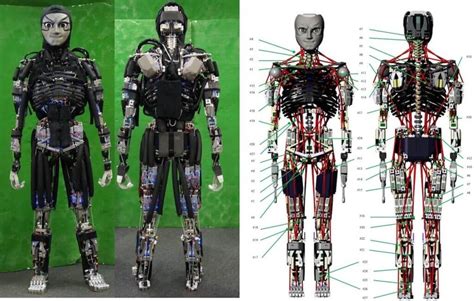 A Robot that Sweats to Cool Off, Japanese Tech at its Innovative Best - 1redDrop