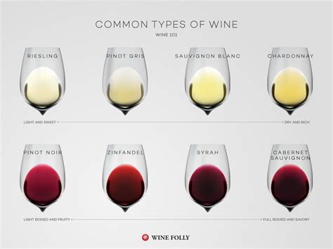 Common Types of Wine (Top Varieties to Know) | Wine Folly