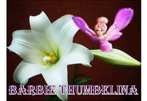 barbie thumbelina - barbie thumbelina Photo (26739448) - Fanpop