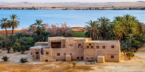 Siwa Oasis - Siwa Oasis Location - Siwa Oasis Wildlife - Siwa Oasis History