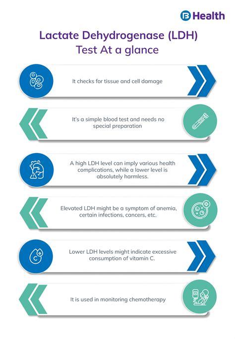 LDH Test: Normal Range, Types, Procedure, and Results