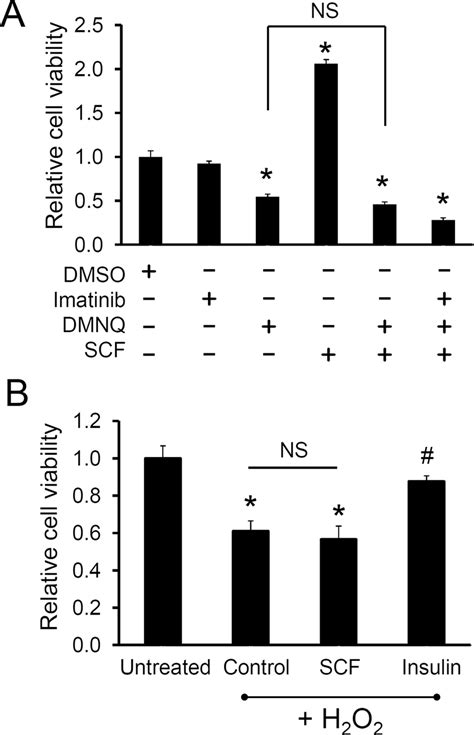 c-kit activation does not rescue CPCs from oxidative stress. A, Human ...