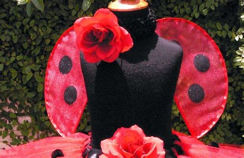 Lovely Ladybug Handmade Wings Very Sturdy to Last for Many - Etsy