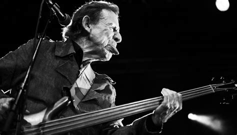 9 of the best fretless bass performances | Guitar World