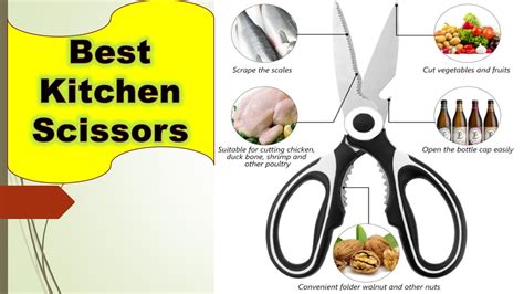 Top 5 Best Kitchen Scissors Reviews - YouTube