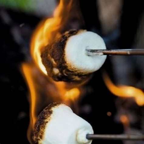 7 best images about Campfire Marshmallows on Pinterest | Fire pits ...