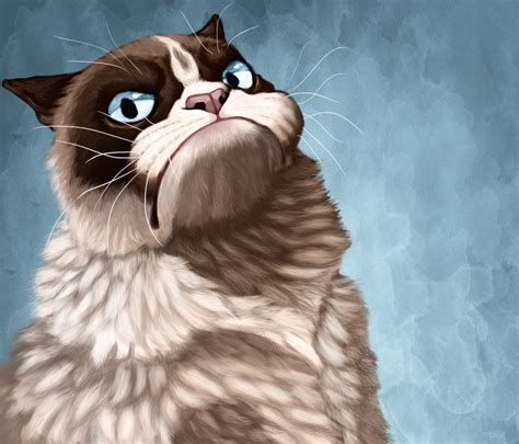 Grumpy Cat Wallpapers HD - WallpaperSafari