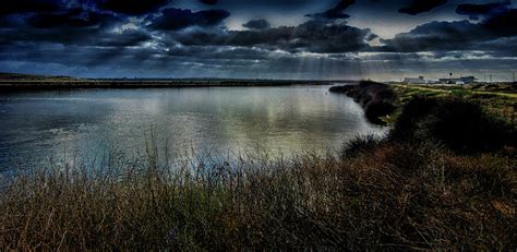 Bolsa Chica Wetlands Photograph by Joseph Hollingsworth | Fine Art America