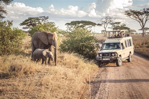 Serengeti National Park Safari | Tanzania Wildlife Safari in Serengeti