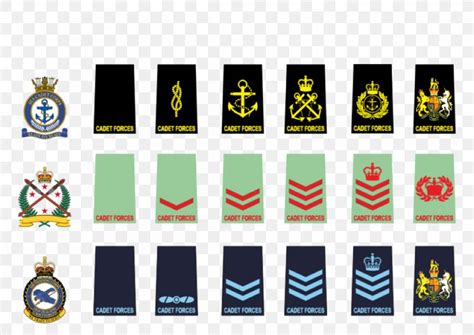 New Zealand Cadet Forces Military Rank Royal New Zealand Air Force, PNG, 1004x711px, New Zealand ...