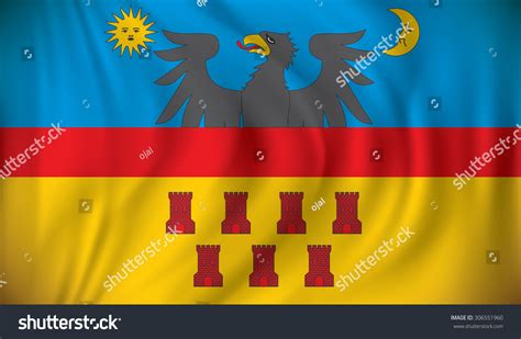 Flag Transylvania Vector Illustration Stock Vector (Royalty Free) 306551960 | Shutterstock