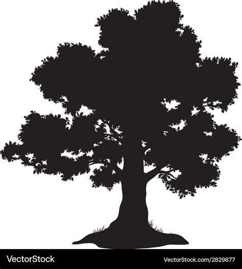 Oak tree and grass silhouette Royalty Free Vector Image