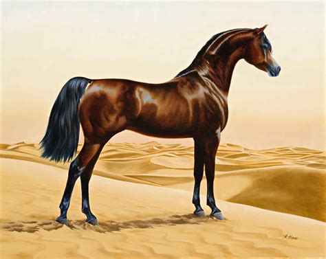 File:Arab horse painting animals arabian ainting by William Barraud ...