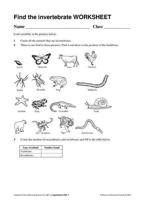 Vertebrates And Invertebrates Activity Sheets