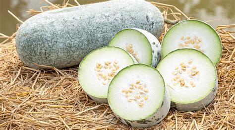 18 of the Absolute Best Winter Melon Recipes to Try This Year ...