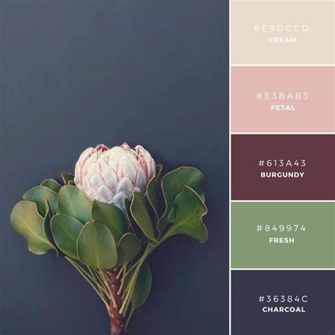 Vibrant Color Palette Combos Take Colors From the World to Inspire Creativity