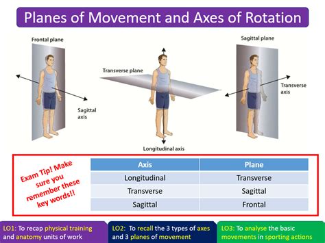 Download 20 Ball And Socket Joint Movement Around Longitudinal Axis