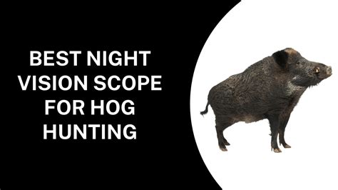 7 Best Night Vision Scope for Hog Hunting 2022 - Top Picks & Buying Guide