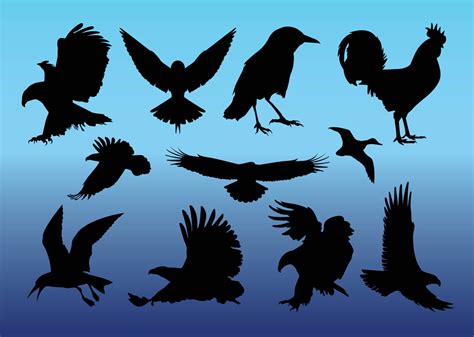 Free Birds Vectors Vector Art & Graphics | freevector.com