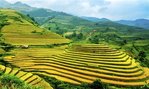 Vietnam - Rice field terraces #SeeItForYourself #SummerInspiration