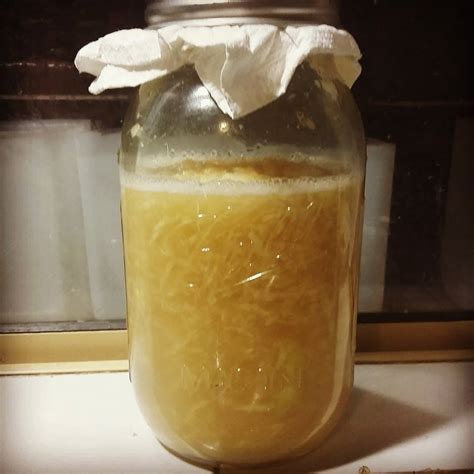 FOOD PRESERVING: GINGER BUG & GINGER BEER