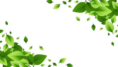 Free Vector | Green leaves scattered background design