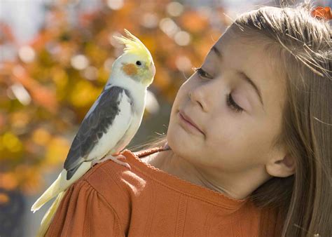 Birds That Make Great Pets For Kids