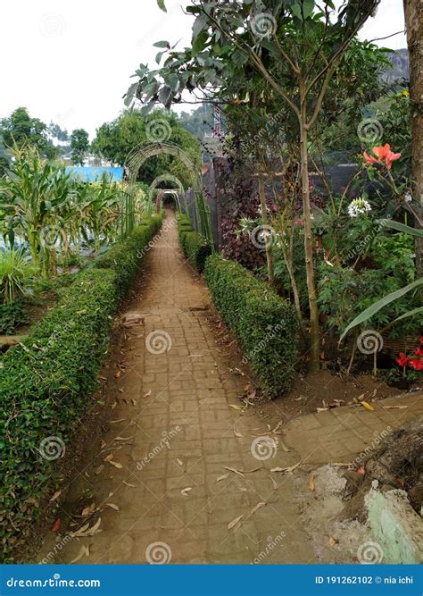 Kebun Begonia Lembang, Bandung Stock Photo - Image of forest, backyard: 191262102